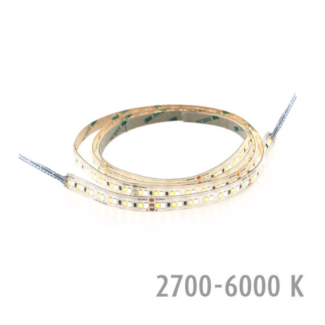 RIBBON-LUX CCT