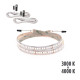 RIBBON LUX 2C