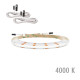 RIBBON-DOB 3000K/4000K